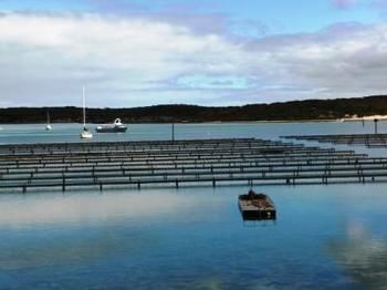 Longbeach Apartments Coffin Bay ภายนอก รูปภาพ